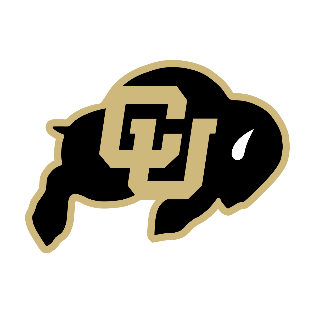Colorado Buffaloes